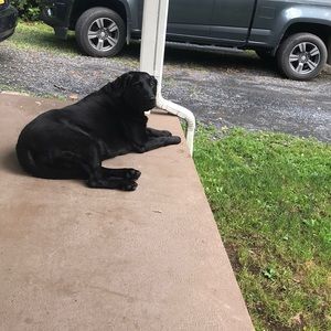 Meet your Posher, Adeline